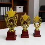 winfinity overseas 3 star metallic fibre trophy Trophy (7.5inch, 8.5inch, 10inch)