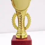 winfinity overseas 3 star metallic fibre trophy Trophy (7.5inch, 8.5inch, 10inch)